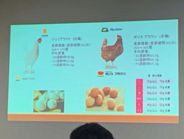 こんにちは😊
会社にて飼料勉強会を行いました📖
御養卵を産んでいる鶏の飼料やたまごについて勉強しました。
鶏が年間に産む数や使われている飼料の効能などを知ることが出来ました。
何気なく見ていたたまご🥚、鶏の体調や季節で飼料の配合を変えるなど驚きです。
稲見商店では、こだわりの美味しいたまごを皆様にお届けするため日々精進しております。

有限会社稲見商店卵工房
〒324-0018 栃木県大田原市上奥沢字上谷地587-2
TEL0287-22-2421 

 #稲見商店#那須御養卵 #日光御養卵#極 #たまご #有精卵 #TKG #卵かけご飯 #お弁当#さくら#自販機#直売#たまご工房#栃木#大田原#イベント#いなみの日#お得#ギフト#勉強#飼料 #🐔